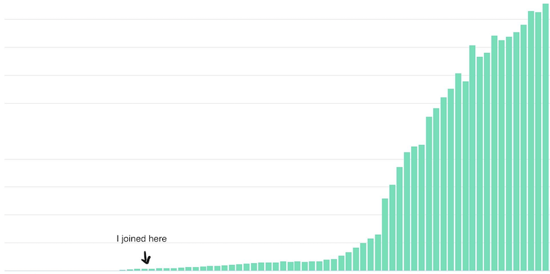 Graph showing LloydsDirect's growth since Ana joined